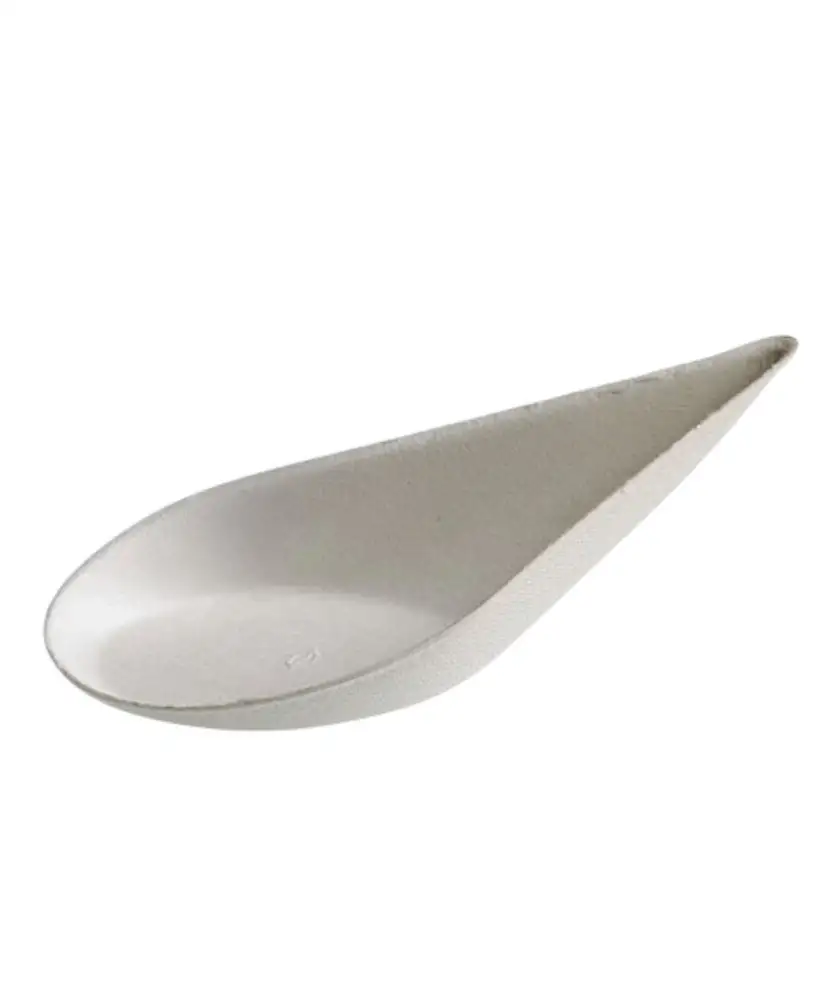100-saucieres-en-pulpe-de-cellulose-cuillere-5x10cm-1