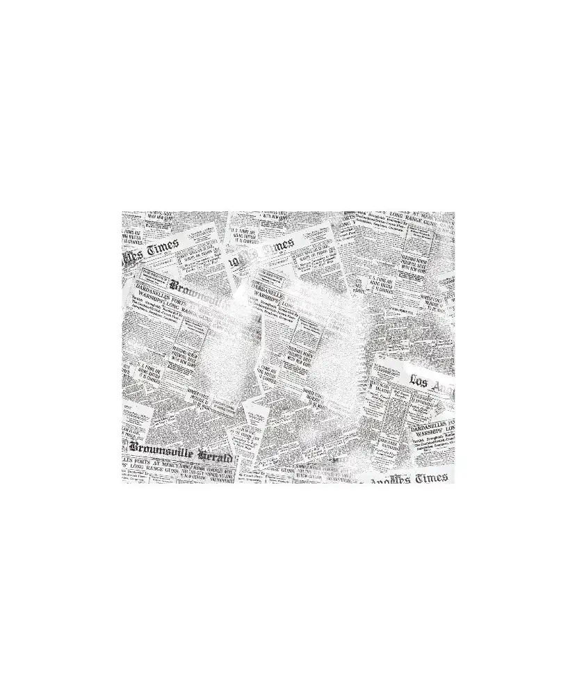 1000-papiers-blancs-anti-gras-journal-1