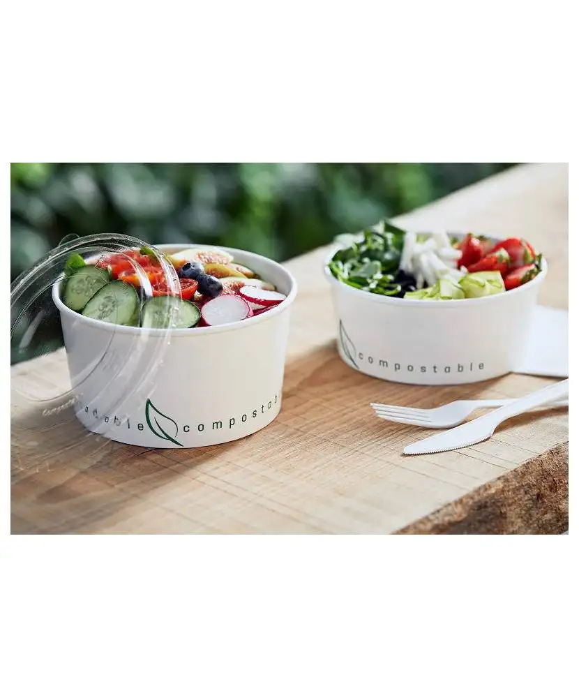 24-box-a-salades-biodegradables-1