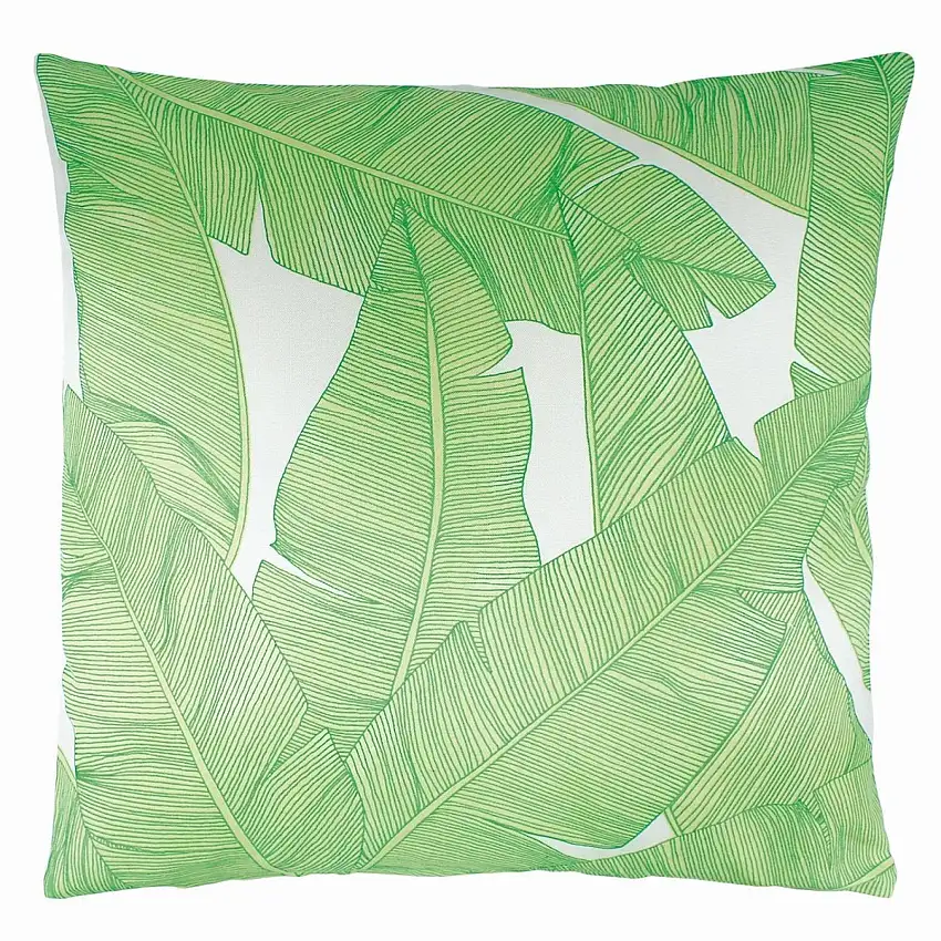 328888_zoom_0_2x_dfba7a7c-4c26-462a-ad65-d56ff9c805f4-1