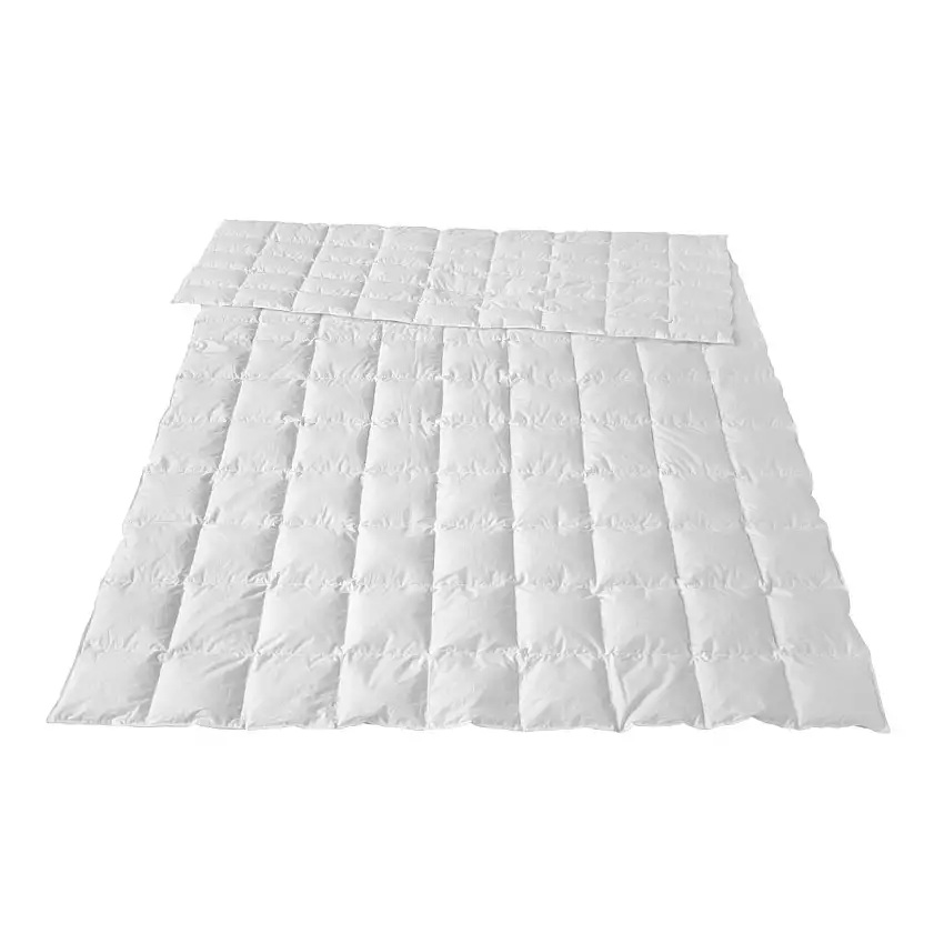 376772_zoom_0_2x_e080bc0c-267c-4ae2-b678-86b475844b35-1