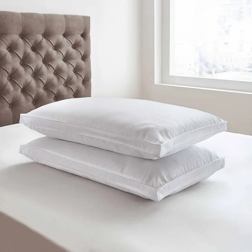 39l_luxury_platinum_twinpack_pillows_2-1