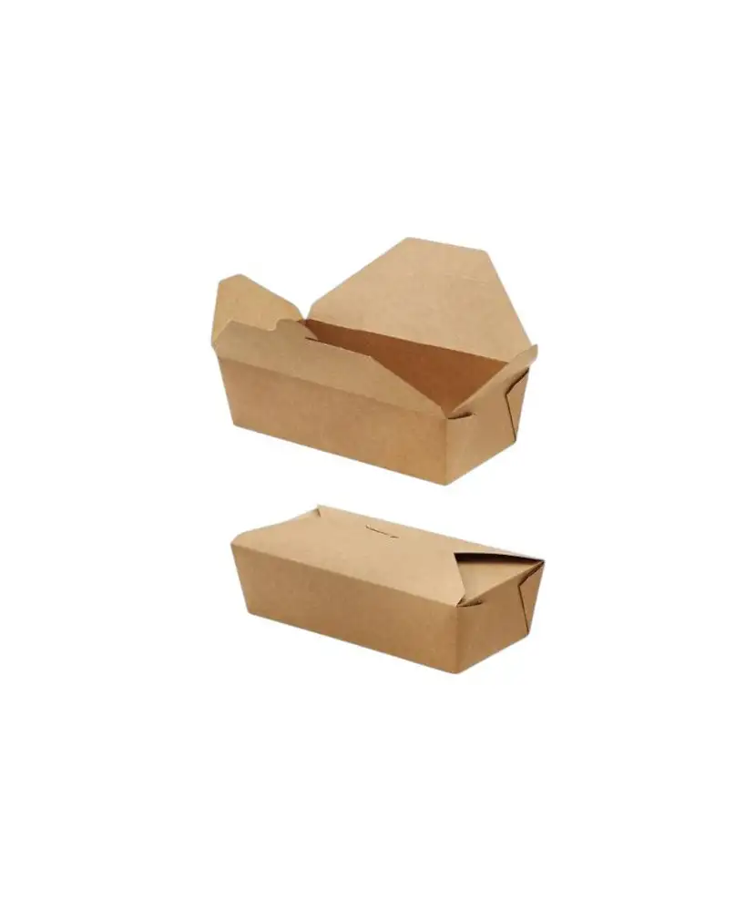 40-street-food-boites-fermees-2500-ml-21x16x9cm-1