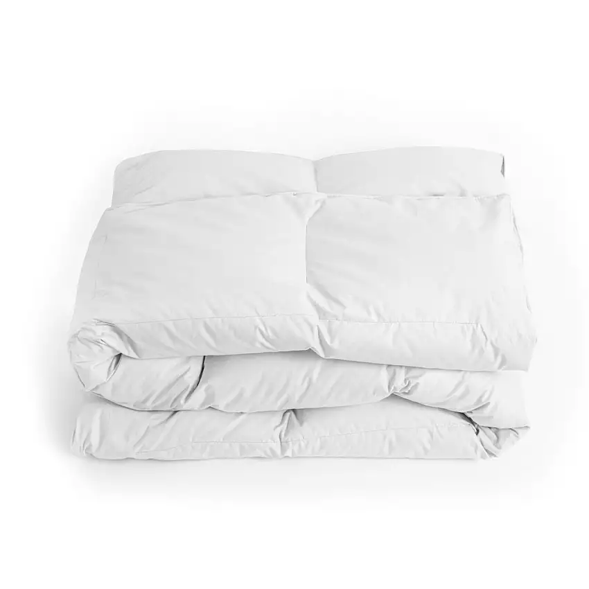 420980_zoom_0_2x_dc7d1e1d-2feb-40f4-99b0-cef0788b7532-1