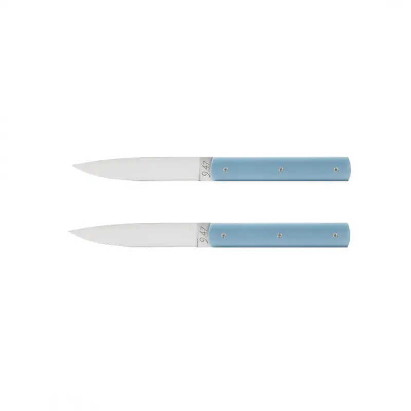 947-coffret-couteaux-de-table-bleu-celadon-2-pcs-1-1