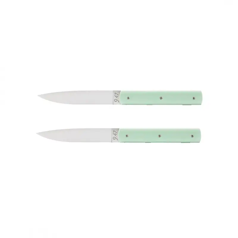 947-coffret-couteaux-de-table-vert-pistache-2-pcs-1-1