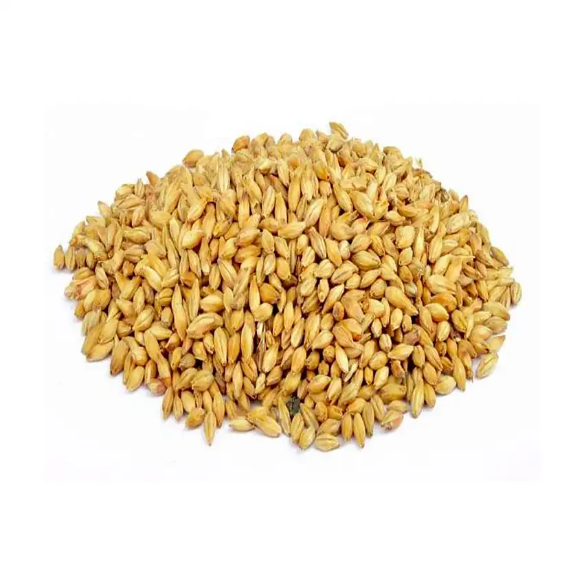 Gerstenmalz-Weyermann-Wiener-6-9-EBC-25-kg-_1-1