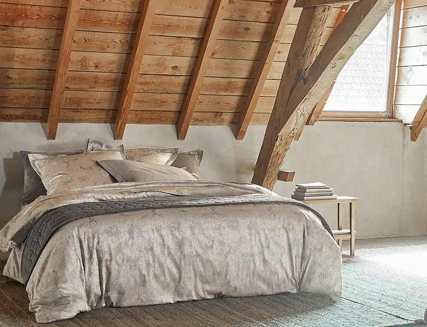 LUPINS_ARGENTE_01_1200x1200-1