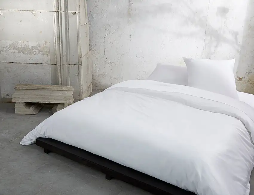 LingedeLit-KZIconicBlanc-Kenzo-LingedeLit-KZIconicSafari-1_0c810e90-0e3c-442f-90be-604538035b2e_1200x1200-1