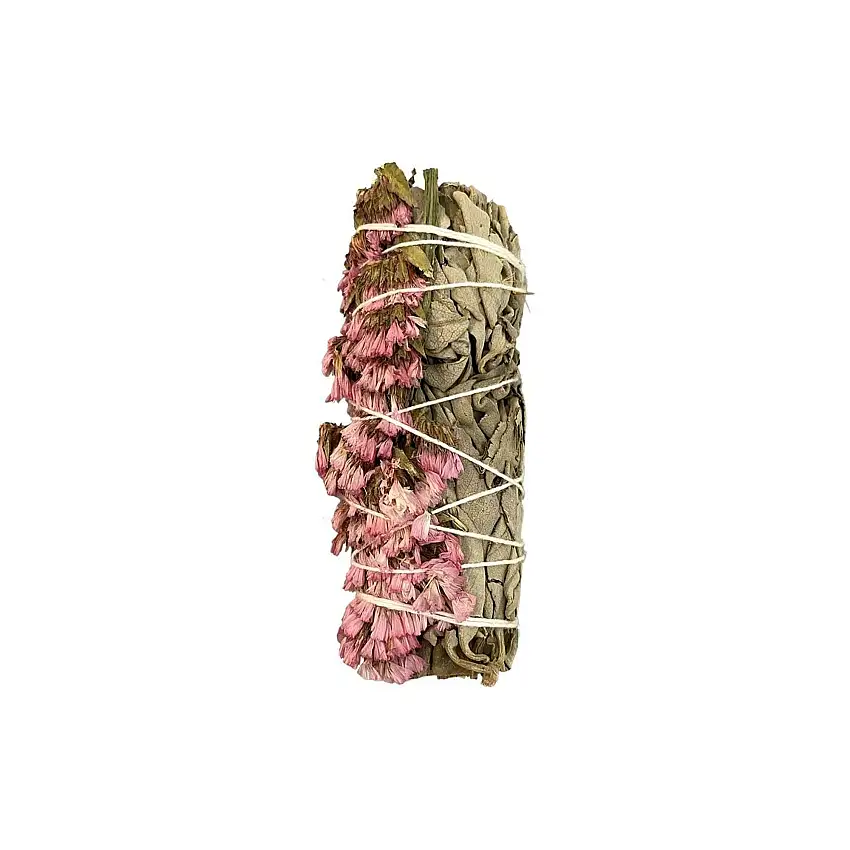 Sauge_blanche_purificatrice_-_Sinuata_Rose-1