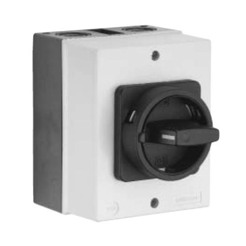 Wartungsschalter-2-polig-Kutzner-Weber-1