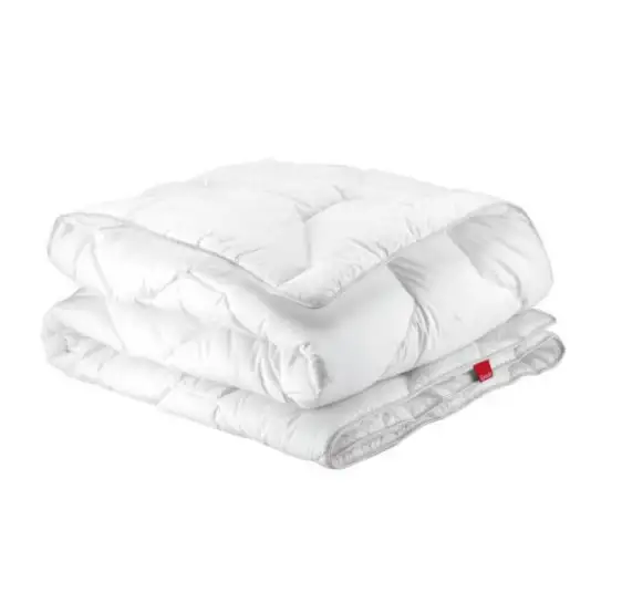 aloe-vera-hiver-epeda-1