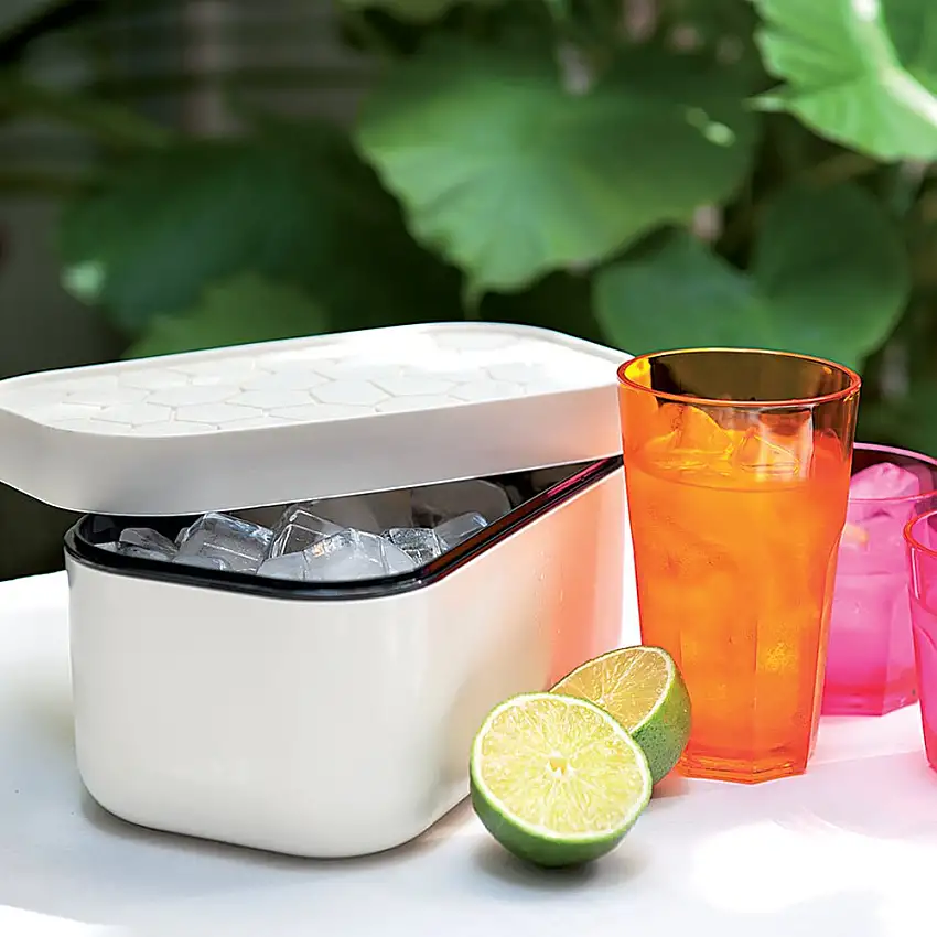 bac-a-glacons-ice-box-blanc-158989-1