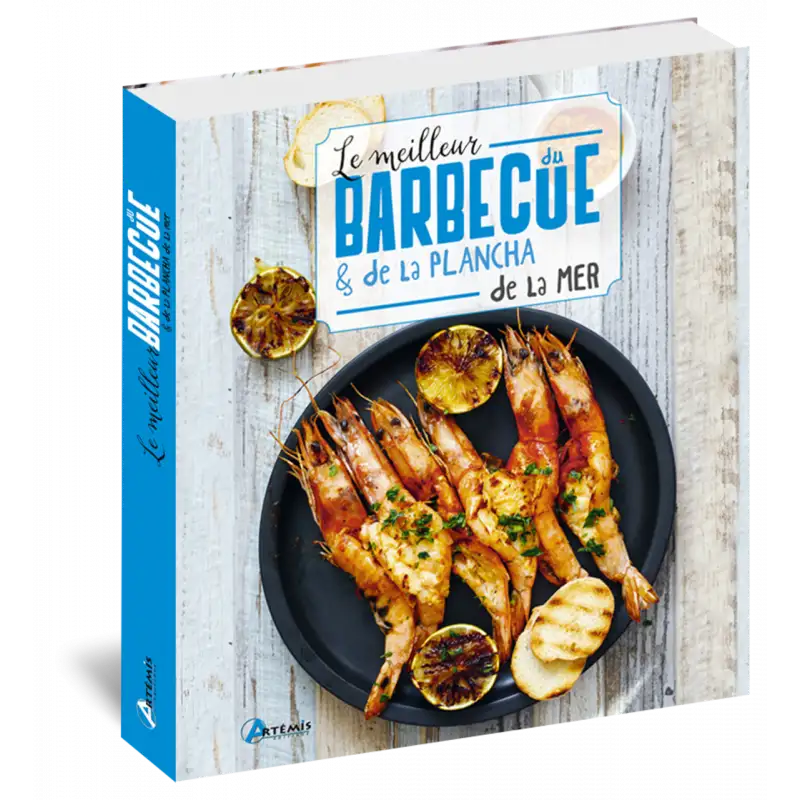 barbecue-plancha-de-la-mer-edition-artemis-1