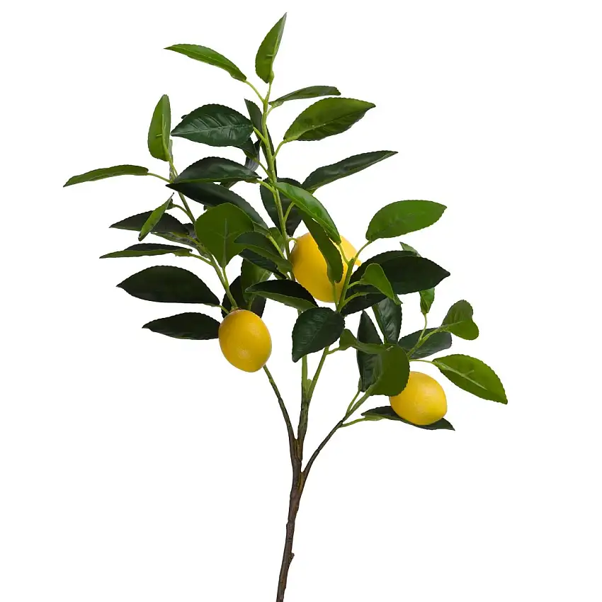 branche-citron-eureka-h75cm-844920-1