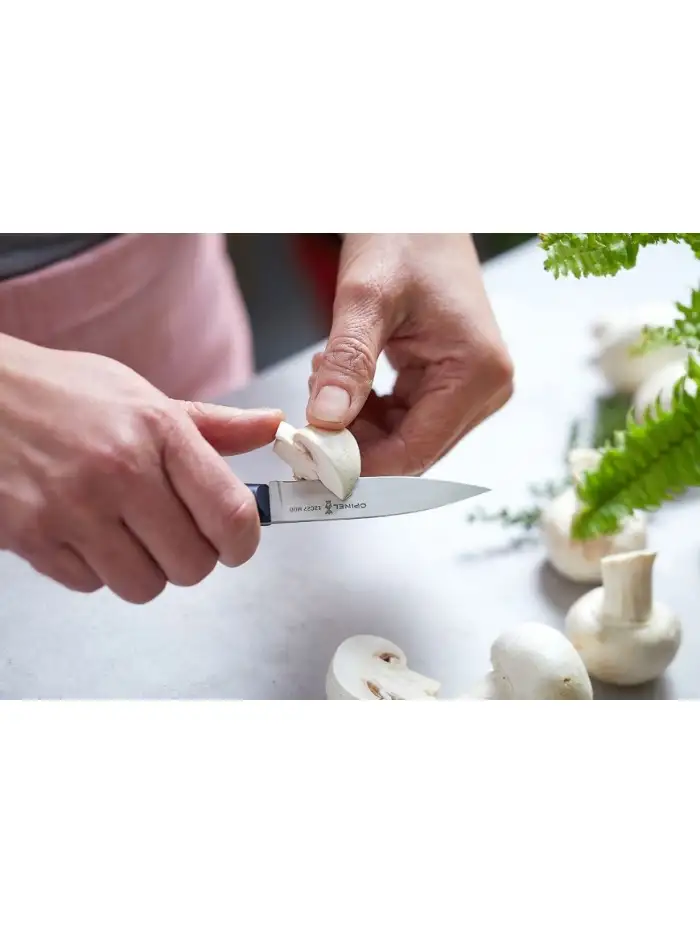 couteau-office-intempora-n225-opinel-1