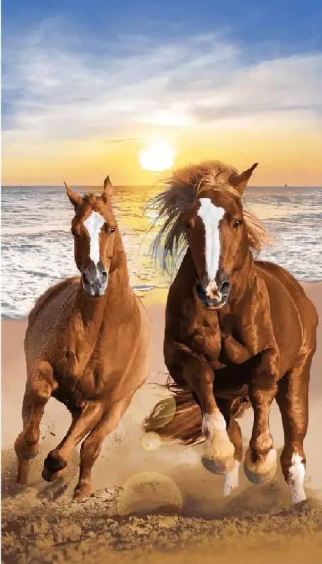drap-de-plage-100x180-cheval-zoom-1
