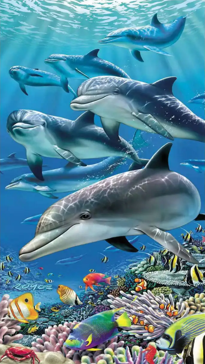 drap-de-plage-100x180-dauphins-1