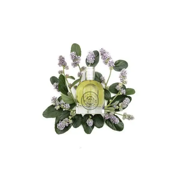 eau-de-parfum-patchouli-dorient-185276-1