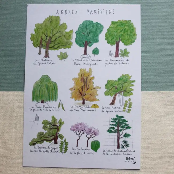 il_1140xN_1478270755_s0gs-1