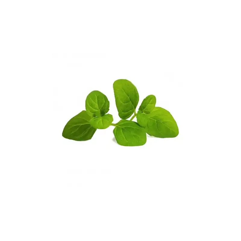 lingot-menthe-glaciale-bio-veritable-1