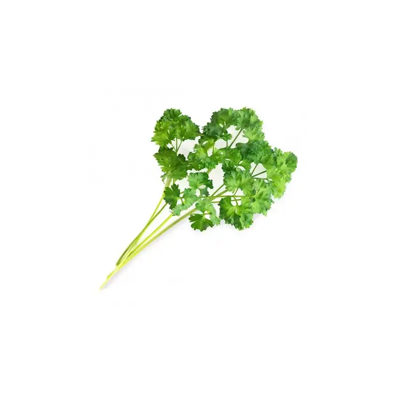 lingot-persil-frise-bio-veritable-1