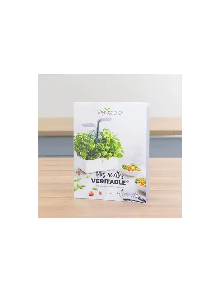 livre-mes-recettes-veritable-vol1-1