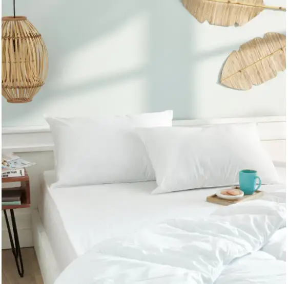 lot-de-2-oreillers-gamme-douceur-45-x-70-cm-blanreve-1