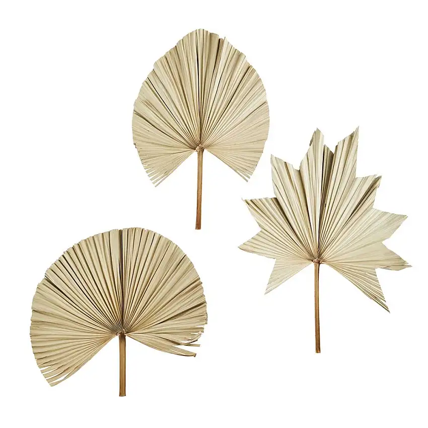 lot-de-3-deco-murale-en-palmier-madam-stoltz-1