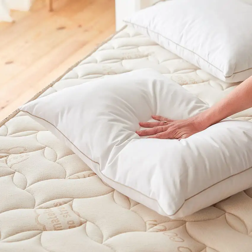 oreiller-naturel-plumes-duvet-1