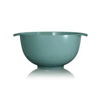 passoire-4l-vert-nordic-560677-1