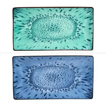 plat-rectangle-manihi-29x16-cm-774773-1