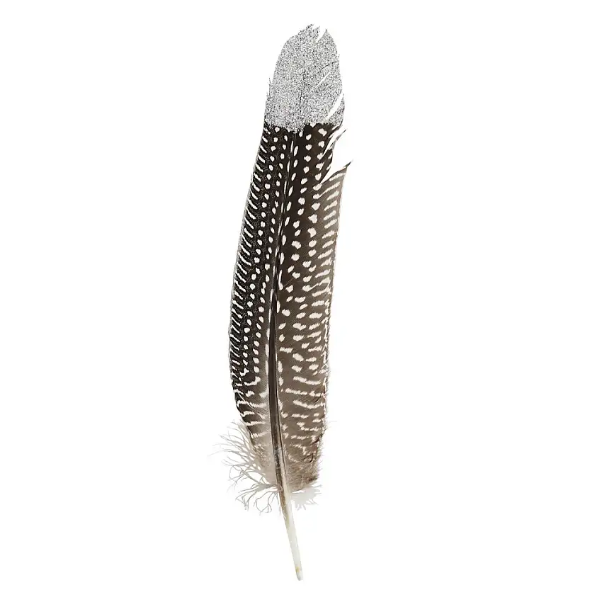 plume-d-oie-marron-pack-de-10-pieces-1