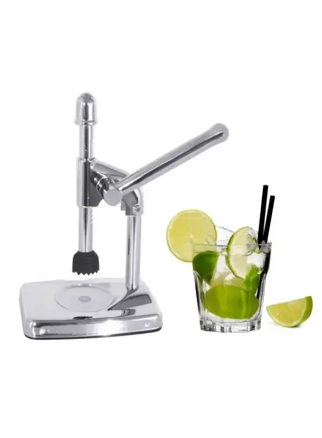 presse-a-citron-professionnelle-en-acier-chrome-1