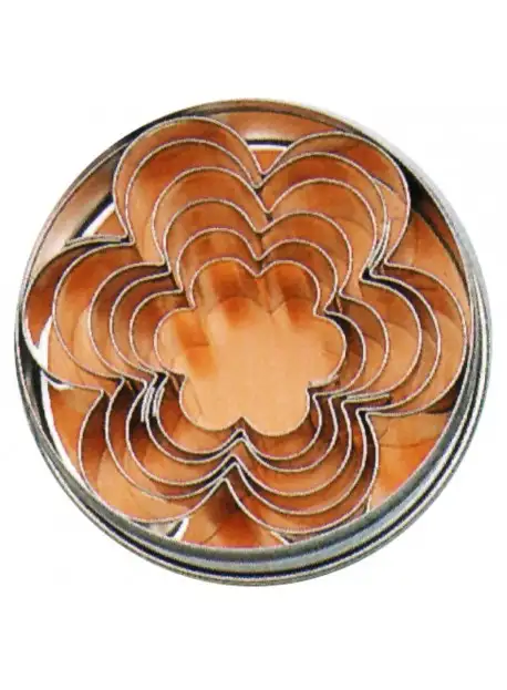 set-d-emporte-pieces-fleurs-en-fer-blanc-1